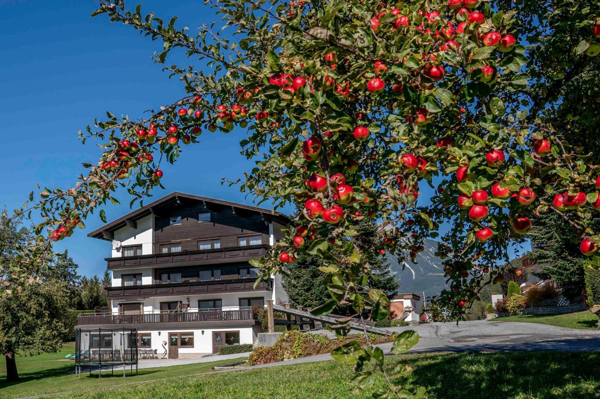 Ferienwohnungen Monja Und Dietmar Thoeni Arzl im Pitztal Exteriör bild