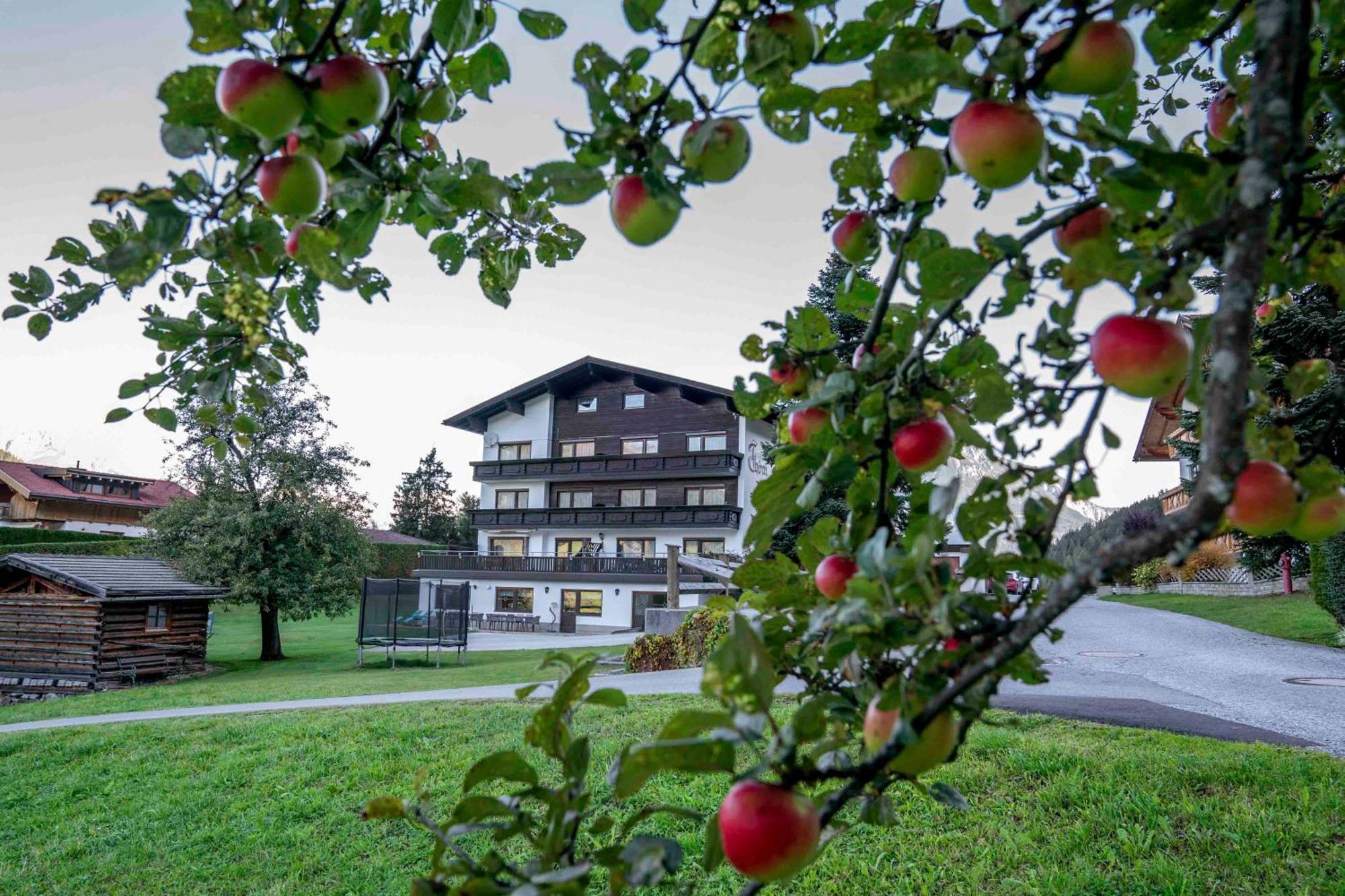 Ferienwohnungen Monja Und Dietmar Thoeni Arzl im Pitztal Exteriör bild